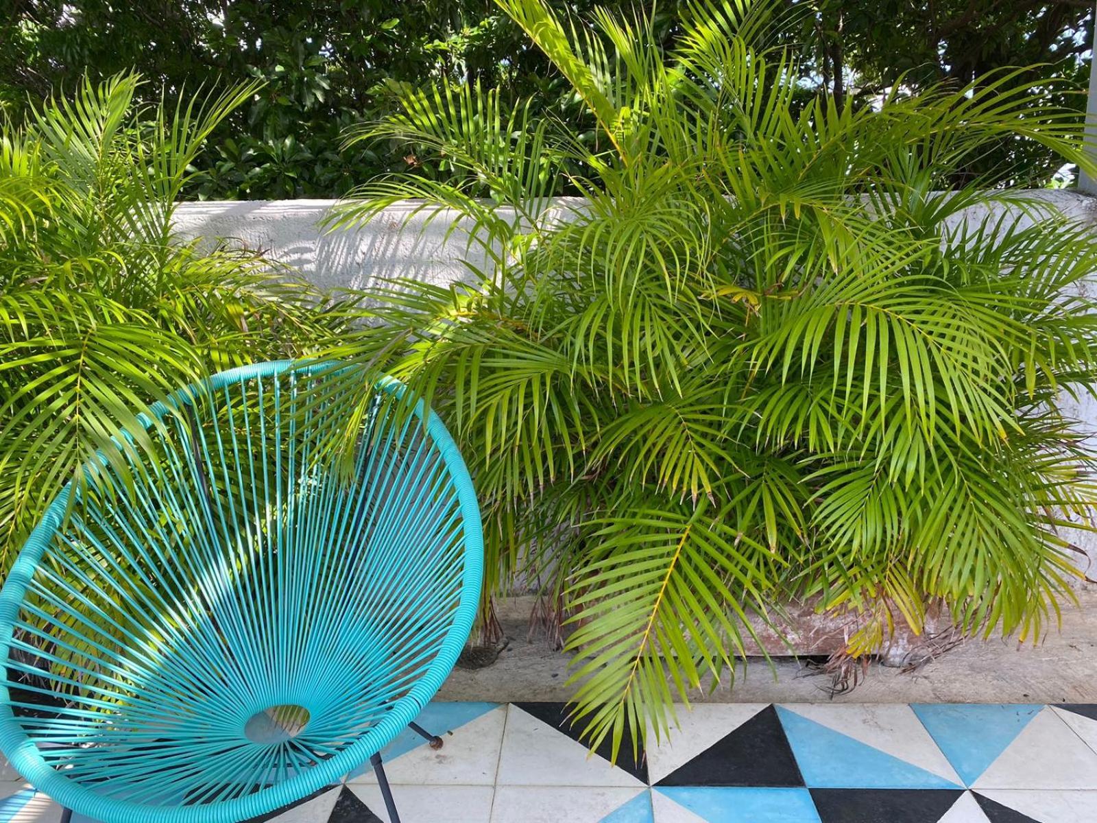 Studios Downtown Cancun Exterior photo